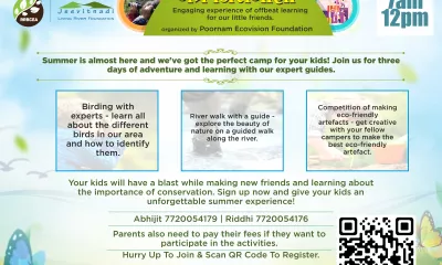 Summer Camp 