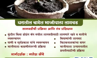 घरातील भाजीपाला लागवड लागवडीची प्रक्रिया आणि तंत्र प्रशिक्षण